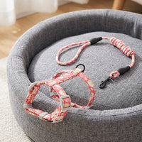 Cat Harness and Leash Set, H-shaped Soft Kitten Harness and Kitten Leash for Outdoor Walking, Breakaway Resistant Leash for Small Cats, Rose