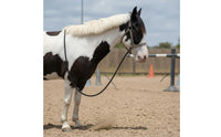 Black Horse Rein Metal Hardware Nylon Rope Rein Simple Design Horse Bridle Rope Durable