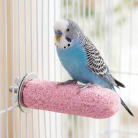 Bird Cage Perch Flat Stand, Sand Coated Resin Parrot Perch for Grinding Beak and Claw, Multiple Bird Perches in One for Cockatiels Conures