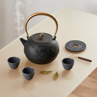 Cast Iron Teapot Uncoated Japanese Traditional Iron Teapot Multi-Cooktop Compatible Loose Leaf Tea Pot for Outdoor, Camping