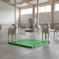 Easy to Clean Sheep Slatted Floor Reinforced Structure Plastic Goat Flooring Panel Anti-Slip Surface Interlocking Livestock Floor Tile for Farmers
