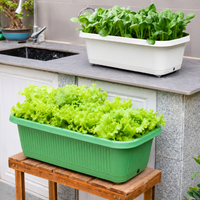 planter box