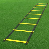 agility ladder