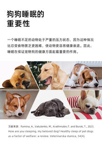 宠物狗乳胶垫窝四季通用猫咪床垫垫子冬季保暖金毛泰迪中型大型犬