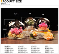 DIY European Style Transparent Glass Landscape Cover for Micro-Landscape Decoration