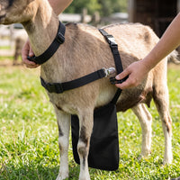 Anti-Breeding Apron Long-Lasting Breeding Control Apron Reliable Practical for Breeders, Farms, Pastures