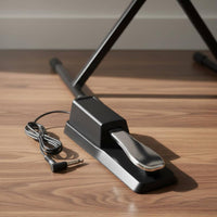 Polarity Switch Sustain Pedal Non-Slip Design Electronic Piano Pedal Classic Design Musical Instrument Accessory for Pianists, Keyboardists, Music Producers, Home Practice, Studio, Stage Performance