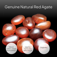 Garnet Chalcedony Raw Crystal for Display and Decor