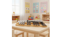 25 Note Xylophone Classroom-Friendly Xylophone with Carry Case Glockenspiel with Carrying Bag for Kids, Beginners