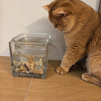 鱼缸式猫碗猫咪骗水神器狗狗高脚水碗保护颈椎不易打翻2025年新款 雪山鱼缸【时尚可爱】