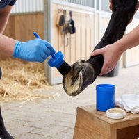 Hoof Brush with Container Convenient Hoof Oil Applicator Grooming Tool Easy Reusable for Horse Owners, Stables, Barns