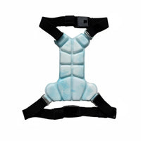 Pet Cooling Vest Harness Molded Segmented Cooling Vest Buckle Adjustable Pet Harness