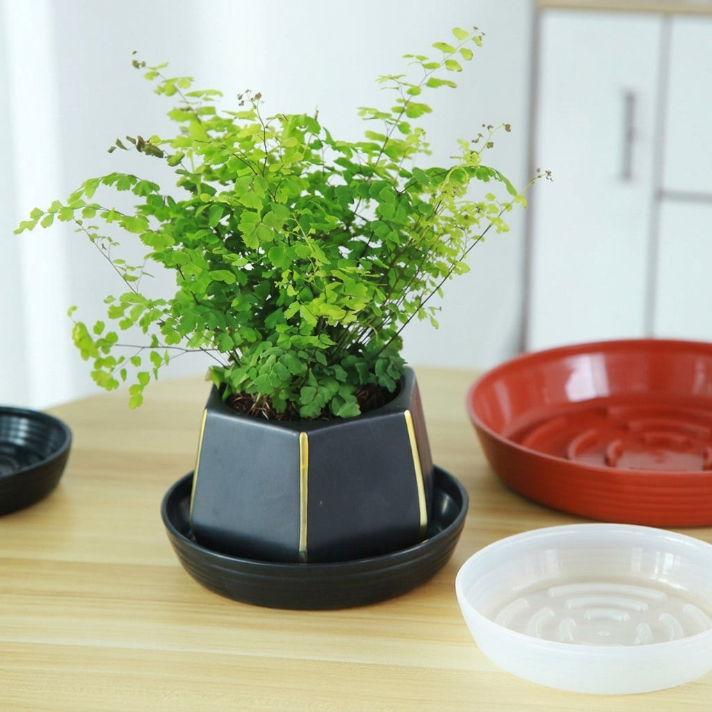 Plant Saucers and Round Tray Set, Drip Tray with Drainage Grooves, Plant Trays for Indoor Plant Saucer and Outdoor Plants Floor