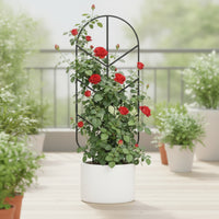 4 Pieces Metal Plant Trellis Tall Trellis with Arched Top Indoor Climbing Frame for Balcony