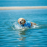 Adjustable Dog Life Jacket with Rescue Handle Secure Dog Life Jacket with D-Attachment High-Buoyancy Lightweight for Young Dogs