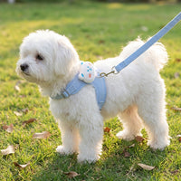 Small Dog Harness and Leash Set, Soft Vest for Cats, Adjustable Dog Chest Strap with 1.2m Lead, Double Buckle No Pull Dog Walking Harness Toy Poodle