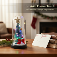 Light-Up Glass Christmas Tree Ornament Mini LED Night Light Desktop Decoration Creative Christmas Gift