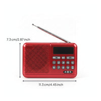 Carrying Strap Portable Radio Speaker Keypad-Style Controls Digital Radio Speaker