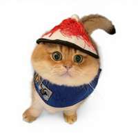 Dog Cat Costume Lightweight Bandana Halloween Adjustable