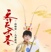 西游记孙悟空披风成人儿童演出服装美猴王角色扮演道具金箍棒面具