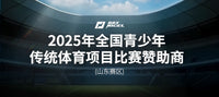 美国RAYNIGEL平衡板滑雪训练冲浪成人核心训练平衡器健身练习专业