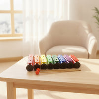8 Note Xylophone Colorful Metallophone with Mallets Child Xylophone with Metal for Children