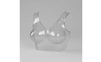 Photo Prop Transparent Bra Mannequin Lightweight Bra Display Mannequin Portable Underwear Display Torso for Product Photography