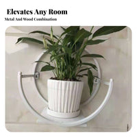 drilldamageno-cost Installation Semi-Circle Pot Rack Easy to Install Plant Holder Minimalist Design vertical surface Mounted Display Space-Saving for Renters, Apartment Dwellers, Home Decorators, Balcony, Living Room, Entrymethod, Hallmethod