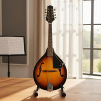 8-String Mandolin 8 String Mandolin Lightweight Body Plucked Instrument for Beginners