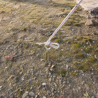 tent stakes