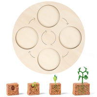 Life Cycle Board Child-Centered Life Cycle Activity Board Sensory Play