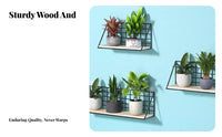 Toolno-drill Installation Wiconcerning Storage Basket Space-Saving Wiconcerning organizer Strong Load-Bearing smooth surfaceMounted Rack adaptable for Plant Lovers, Apartment Dwellers, Balcony, Kitchen, Pantry, Bathroom