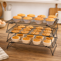 Folding Cooling Rack, 25cm Square Cake Rack, Non-Stick Carbon Steel, Matte Black Baking Accessories for Hobby Bakers