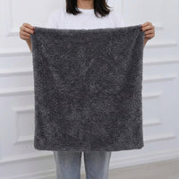 Thick 500GSM Microfibre Cloth, 40cm x 40cm Car Drying Towel with Serged Edges, Absorbent Coral Fleece for Car Washing and General Cleaning