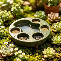 Resin Multi-Compartment Bird Feeder and Waterer for Garden