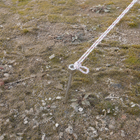 tent stakes