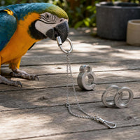 Yuexiaomeng Portable Stainless Steel Parrot Stand with Hook for Outdoor Training and Interaction