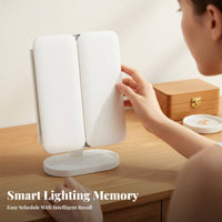 Lighted Shell-Shaped Case illuminated Lighted Vanity Box Seashell Design