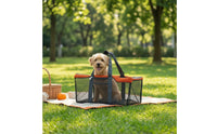 Mesh Pet Carrier Structured Tote Bag Long-Lasting for Travel, Car Rides