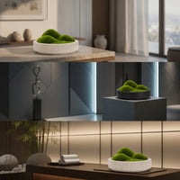 Bowl Planter Low-Profile Shallow Planter Stone-Look Decorative Pot for Living Room, Reception Desk, Hotel Reception Area
