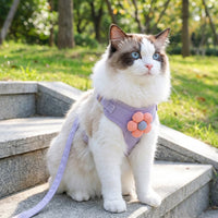 Cat Harness and Cat Leash Set, Decorative Vest Walking Harness with Back Leash Attachment, Adjustable Harness for Outdoor Cat Travel Training