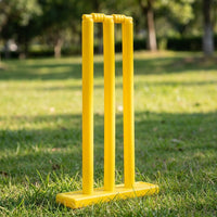 Cricket Set for Kids 7-14 Years, 58x8cm Complete Ball Game Set made of PP, for Indoor and Outdoor, with Bat, Stumps and Balls