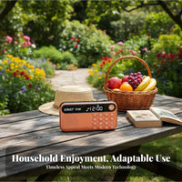 Audio Player Audio Device with Speaker Flash Card and Universal Serial Bus Compatible with Multi-Function Navytooth Radio Small Design Portable