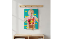 22 Pieces DIY Learning Organ Placement Busy Board Interactive Play Human Body Activity Set Early Education Human Structure Cognitive Chart 3D Organs for Homeschooling