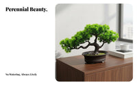 Fake Conifer Bonsai Realistic Look Artificial Bonsai Tree Lifelike Potted Simulation Plant for Office Workers, Gift Presenters, Living Room, Desk