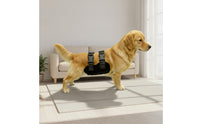 Supportive Dog Diaper with Adjustable Straps Safeguarding Pet Clothing Elasticated Apparel Comfortable for Walks