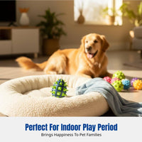 Pet Toy, Two-Color Sports Oval, Squeaky Dog Toy, Interactive, Home Fun