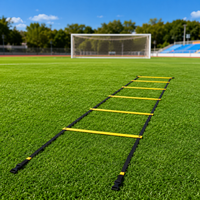 agility ladder