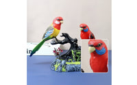 Detailed Parrot Figurine Tropical Parrot Statue Realistic Figurine with Branch Base Lifelike for Collectors