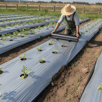 Silver-Black Agricultural Mulch Film for Watermelon Cultivation - Thickened, Insulating, Reflective, Weed Control